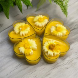 Citronella Floating T-lights (pack of 5)